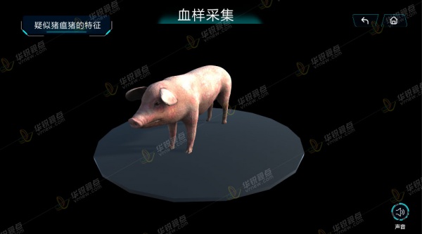 畜牧虚拟仿真产品_猪瘟检测VR实训_猪养殖VR教育_广州华锐互动